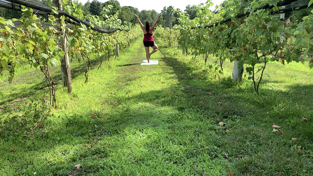 Vinyasa In The Vineyard